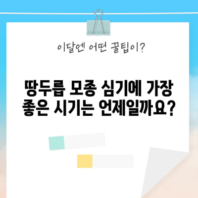 땅두릅 모종 심기 | 시기와 방법 최적화