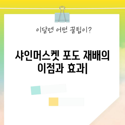 샤인머스켓 포도 재배의 이점과 효과