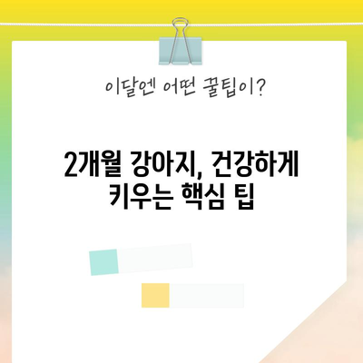 2개월 강아지 케어 가이드 | 사료, 밥 시간, 배변 훈련