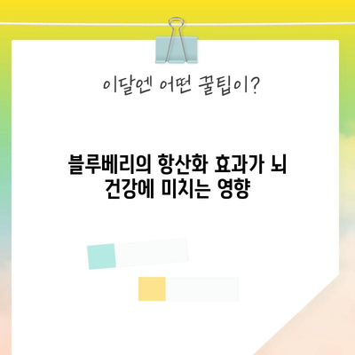 뇌 건강을 위한 블루베리의 3가지 이점