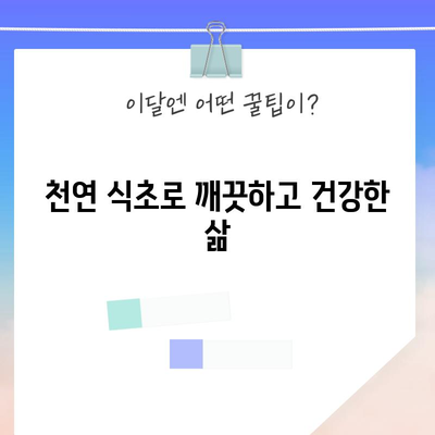 다재다능한 식초의 7가지 효능 | 가정에서 다방면 활용