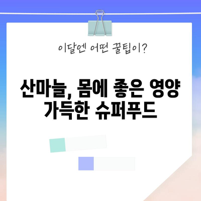 산마늘의 놀라운 5가지 능력 | 건강과 요리에 활용하기