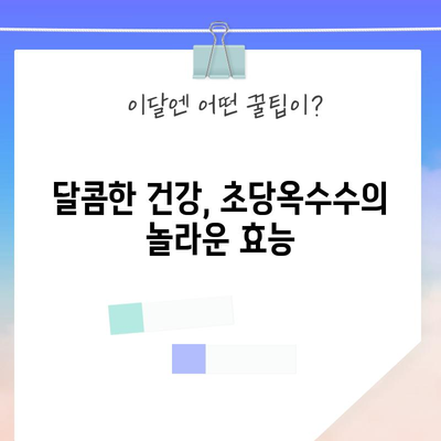 초당옥수수 효능 4가지와 삶는 법 | 건강 증진을 위한 간편한 방법