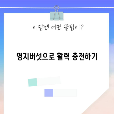 영지버섯의 6가지 건강상 혜택