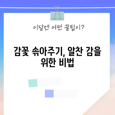 감나무 관리 완전 가이드 | 병충해 방제, 가지치기, 감꽃 솎아주기