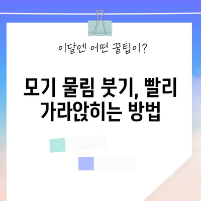 모기 물림 대처법 | 즉각적인 조치와 완화 방법