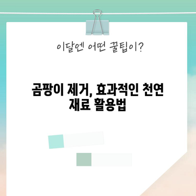화장실 곰팡이 제거법 5가지