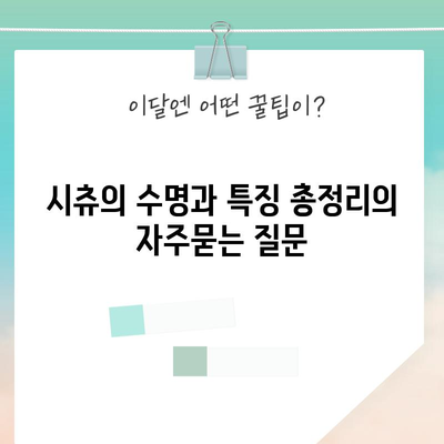 시츄의 수명과 특징 총정리