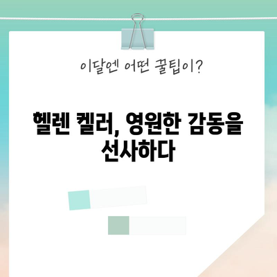헬렌 켈러 | 희망과 인내의 기치