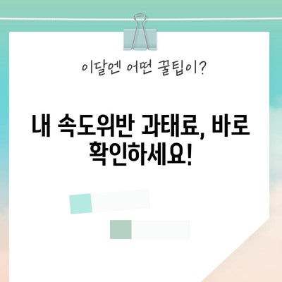 속도위반 과태료 관리 | 조회, 납부, 벌점 확인
