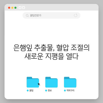 은행열매의 놀라운 치유력 | 혈압 조절과 기억력 향상