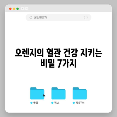 오렌지로 혈관 건강 보호 | 7가지 주요 효능