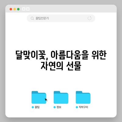 달맞이꽃의 축복 | 다양한 효능과 사용법