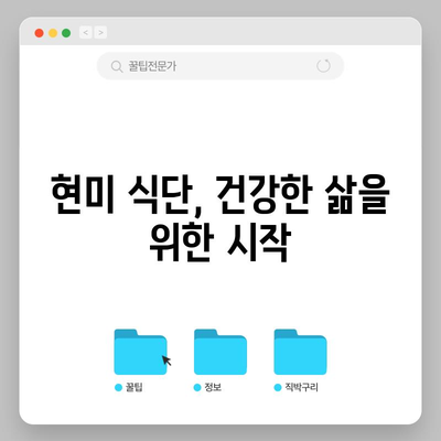 현미의 7가지 건강 효능과 선택 가이드 | 영양소 풍부한 식단을 위한 비결