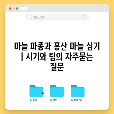 마늘 파종과 홍산 마늘 심기 | 시기와 팁