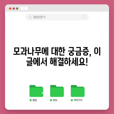 모과나무 | 종류, 특성, 번식, 병충해 관리