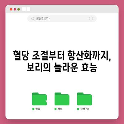 보리의 다면적인 효능 | 7가지 놀라운 이점