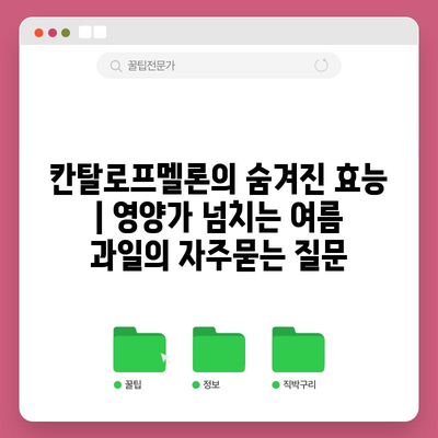 칸탈로프멜론의 숨겨진 효능 | 영양가 넘치는 여름 과일