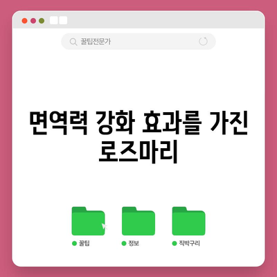 로즈마리 | 향긋한 허브의 5가지 건강 효과