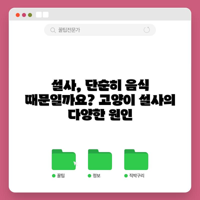 고양이 설사의 원인 | 숨겨진 메시지 해독