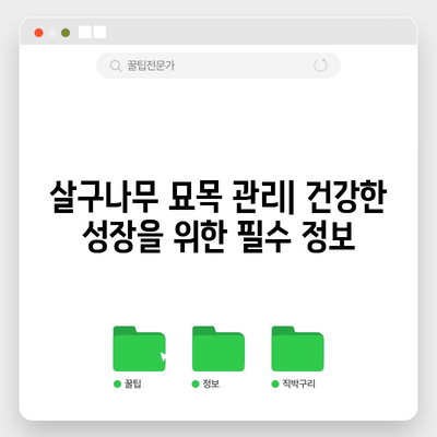살구나무 묘목 심기 비법