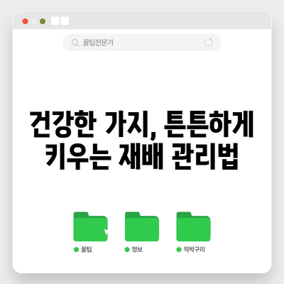가지 모종 심기 완벽 가이드 | 간격, 방법, 재배 성공 비결