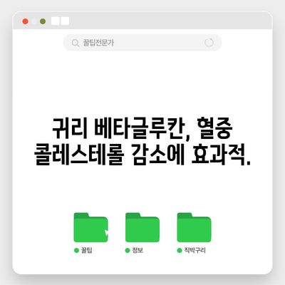 귀리의 콜레스테롤 조절 효능 | 심혈관 건강 개선