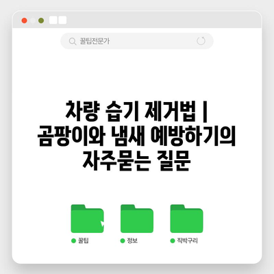 차량 습기 제거법 | 곰팡이와 냄새 예방하기