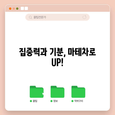 마테차의 활력 | 건강과 활력 증진