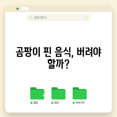 곰팡이 낀 음식 섭취 시 위험성 | 30초 요약