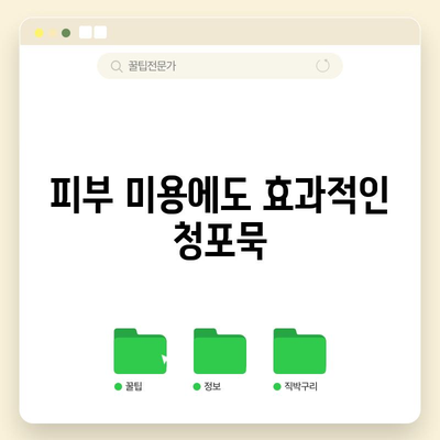 청포묵, 건강에 좋은 5가지 놀라운 효능