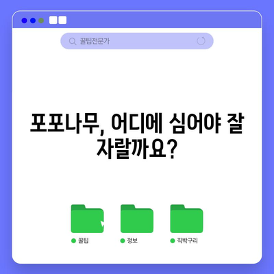 포포나무 재배 완벽 가이드 | 성공적인 키우기 방법