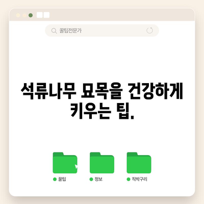 석류나무 묘목 심기 가이드 | 성공을 위한 방법과 시기