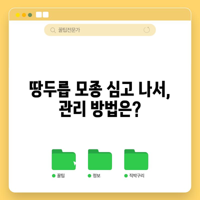 땅두릅 모종 심기 | 시기와 방법 최적화