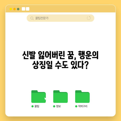 신발 분실 꿈 해몽 | 삶의 여정에서 빗나가거나?
