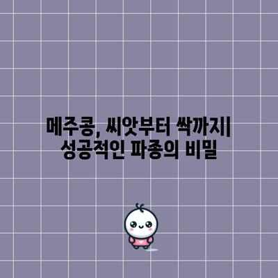 메주콩 재배 완벽 가이드 | 심기부터 수확까지