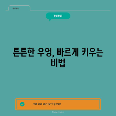 우엉 키우기 쉽고 빠르게 성공하는 전 과정