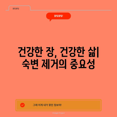 완벽한 숙변 제거를 위한 12가지 실용적인 방법