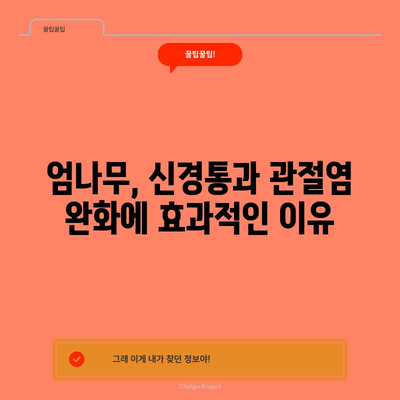 엄나무, 신경통과 관절염을 완화하는 6가지 효능