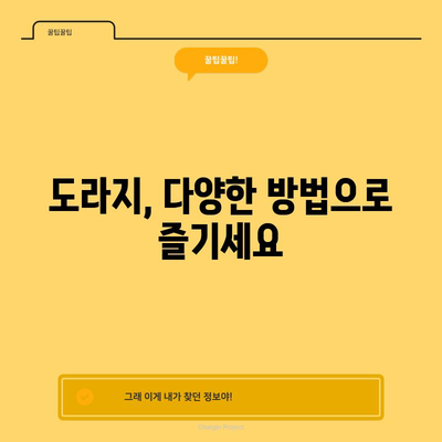 도라지의 8가지 이점과 잠재적인 단점