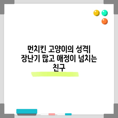 먼치킨 고양이의 독특성 탐구