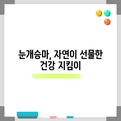 눈개승마의 강력한 효능 | 성인병 예방의 천연 방어선