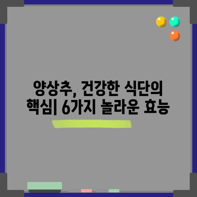 양상추, 비타민과 미네랄이 풍부한 6가지 효능