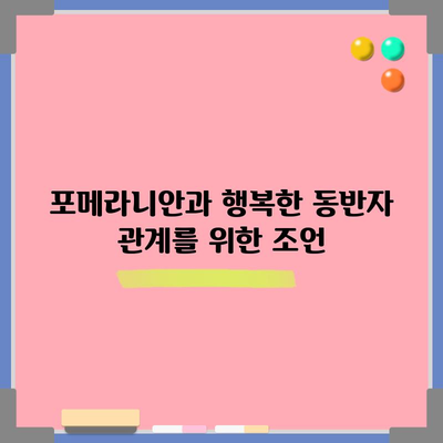 포메라니안 가이드 | 분양 가격, 성격, 입양 전 알아야 할 모든 것