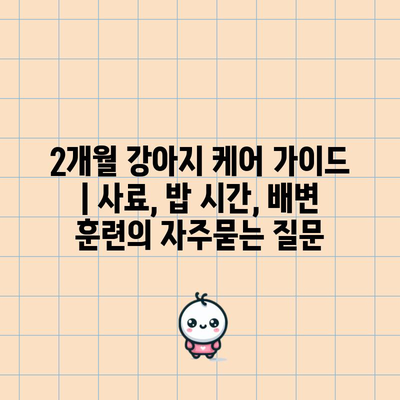2개월 강아지 케어 가이드 | 사료, 밥 시간, 배변 훈련