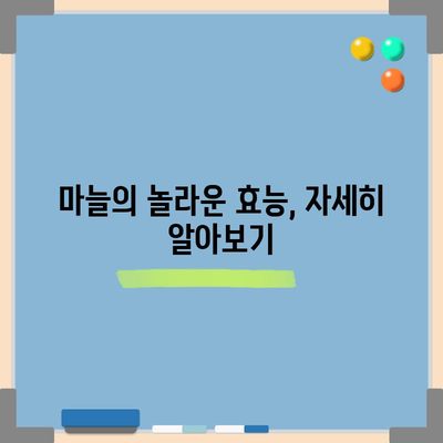 마늘 | 자연의 항생제로 알려진 놀라운 효과