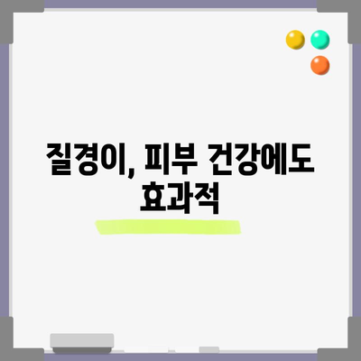 질경이의 6가지 건강상 이점