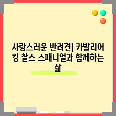 카발리어 킹 찰스 스패니얼 | 유래, 특징, 수명