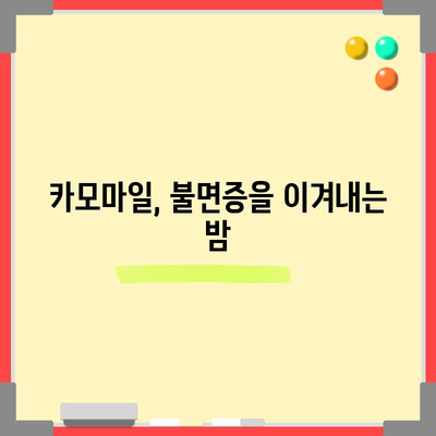 카모마일의 다양한 건강상 효능
