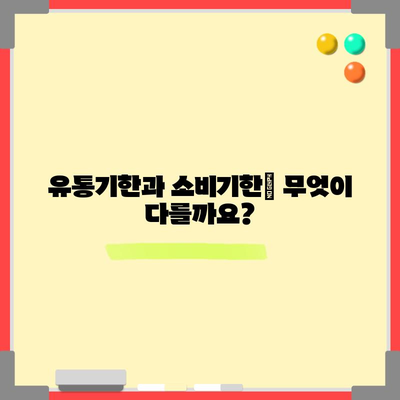 유통기한과 소비기한 | 개념, 날짜, 품질 차이점 이해